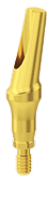 Angled Ti abutment 10° (CHC) — изображение 1