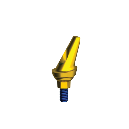 Esthetic Anatomic Abutment 25°