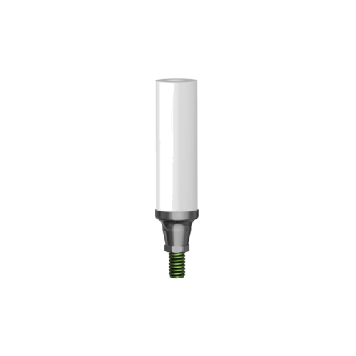 CoCr Casting Abutment R CS