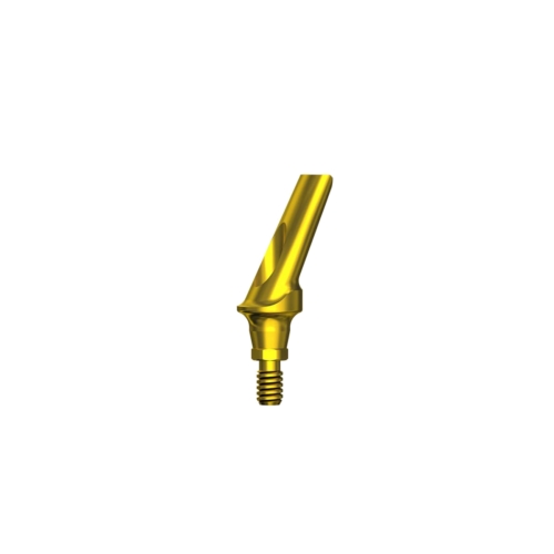 Esthetic Anatomic Angled Ti Abutment 25° CHC