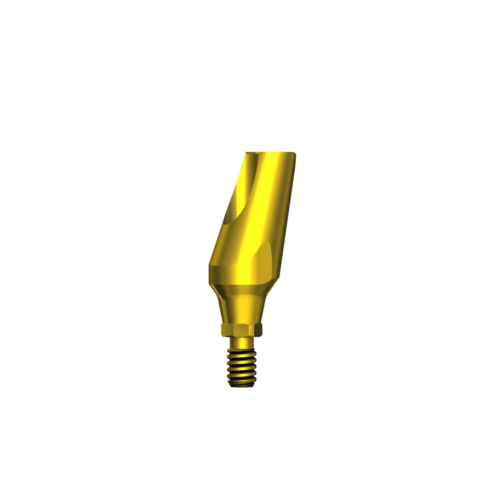 Esthetic Angled Long Titanium Abutment 15° CHC