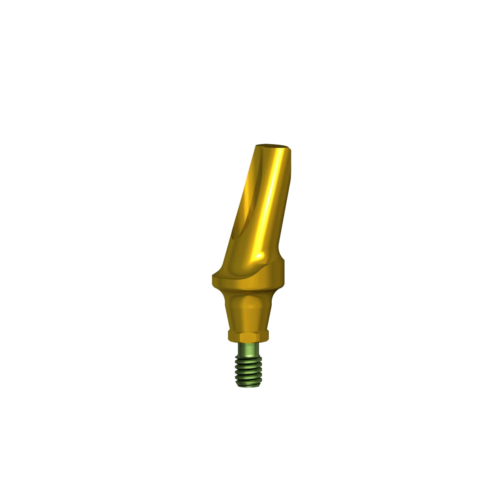 Angled Abutment 15° CS