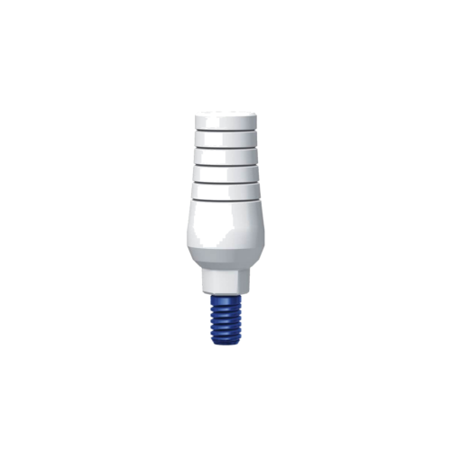 Cobalt Chrome Casting Abutment Rotational