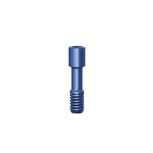 Implant Mount Screw CHC