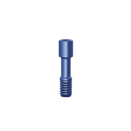Retrieval Screw