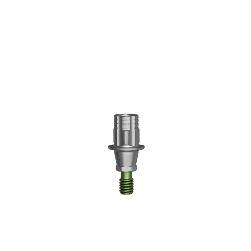 CAD/CAM Titanium Base CS AR